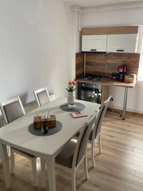 Apartament nou, perfect utilat